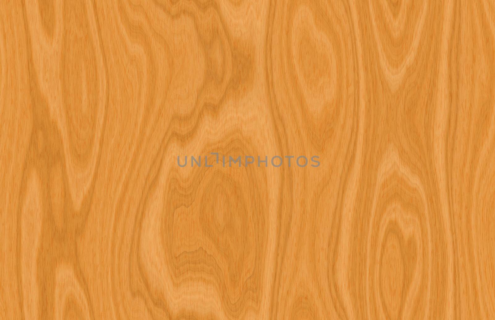 Wood Texture With Fine Varnish and Veins