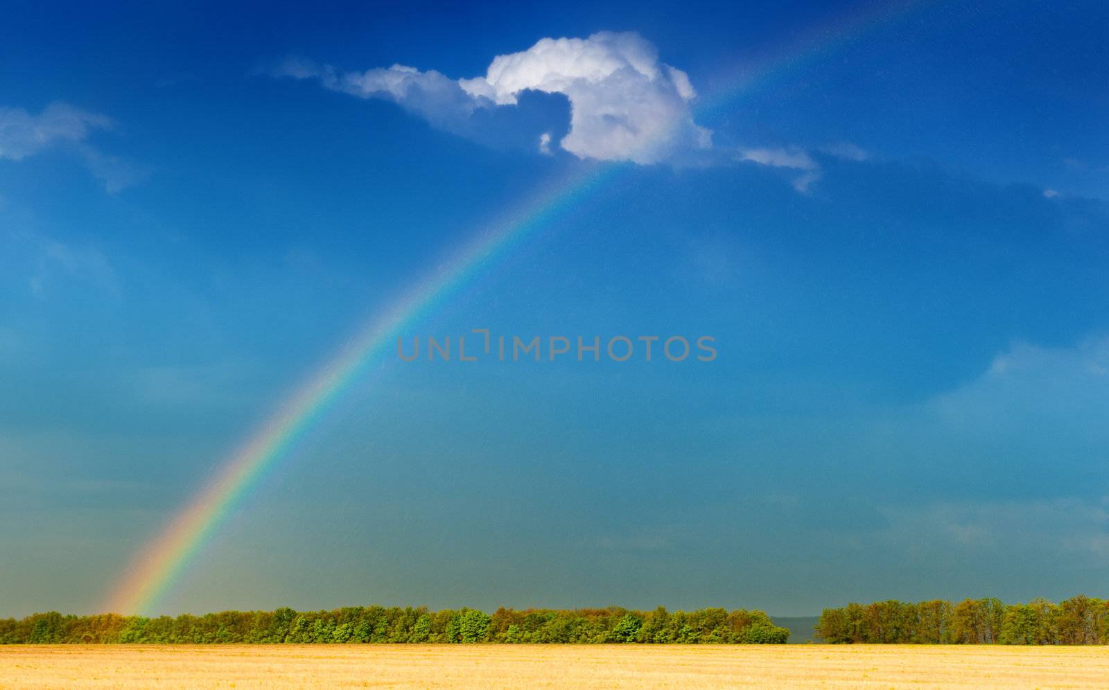Rainbow by galdzer