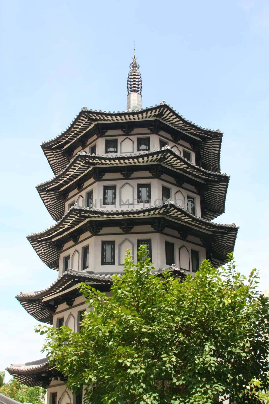 Chinese Temple Style Building Design During the Day