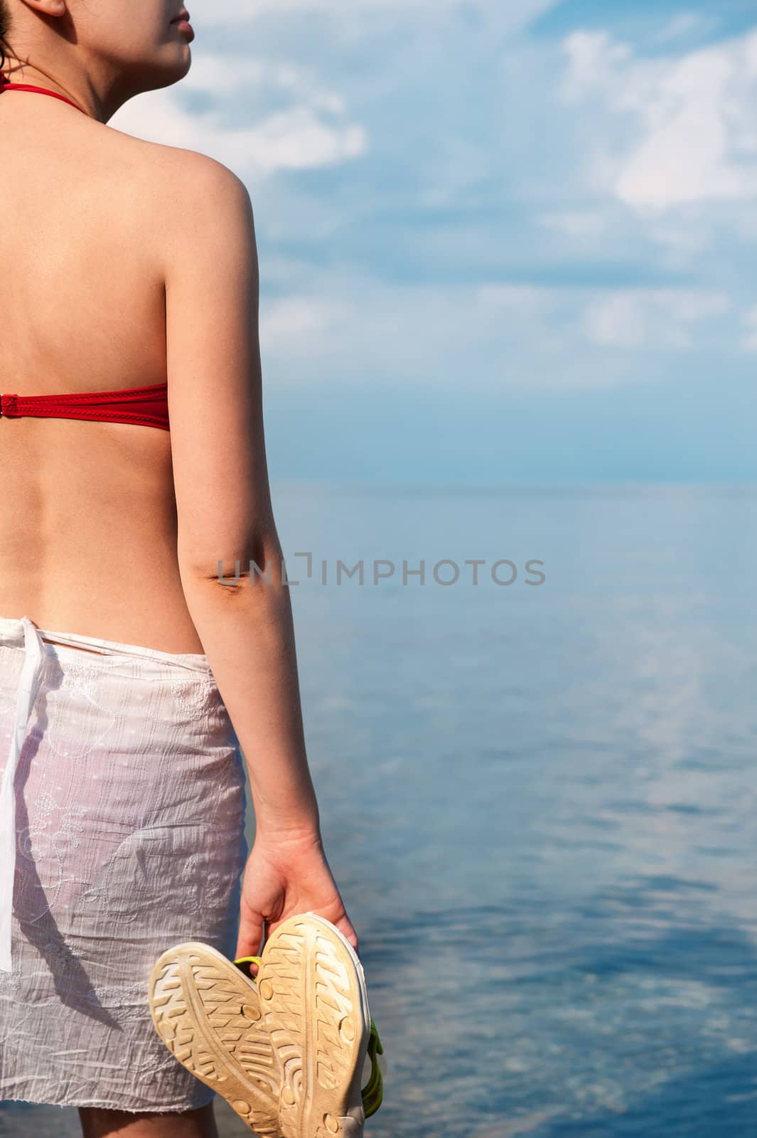 The girl in a bathing suit against the sea. A back photo