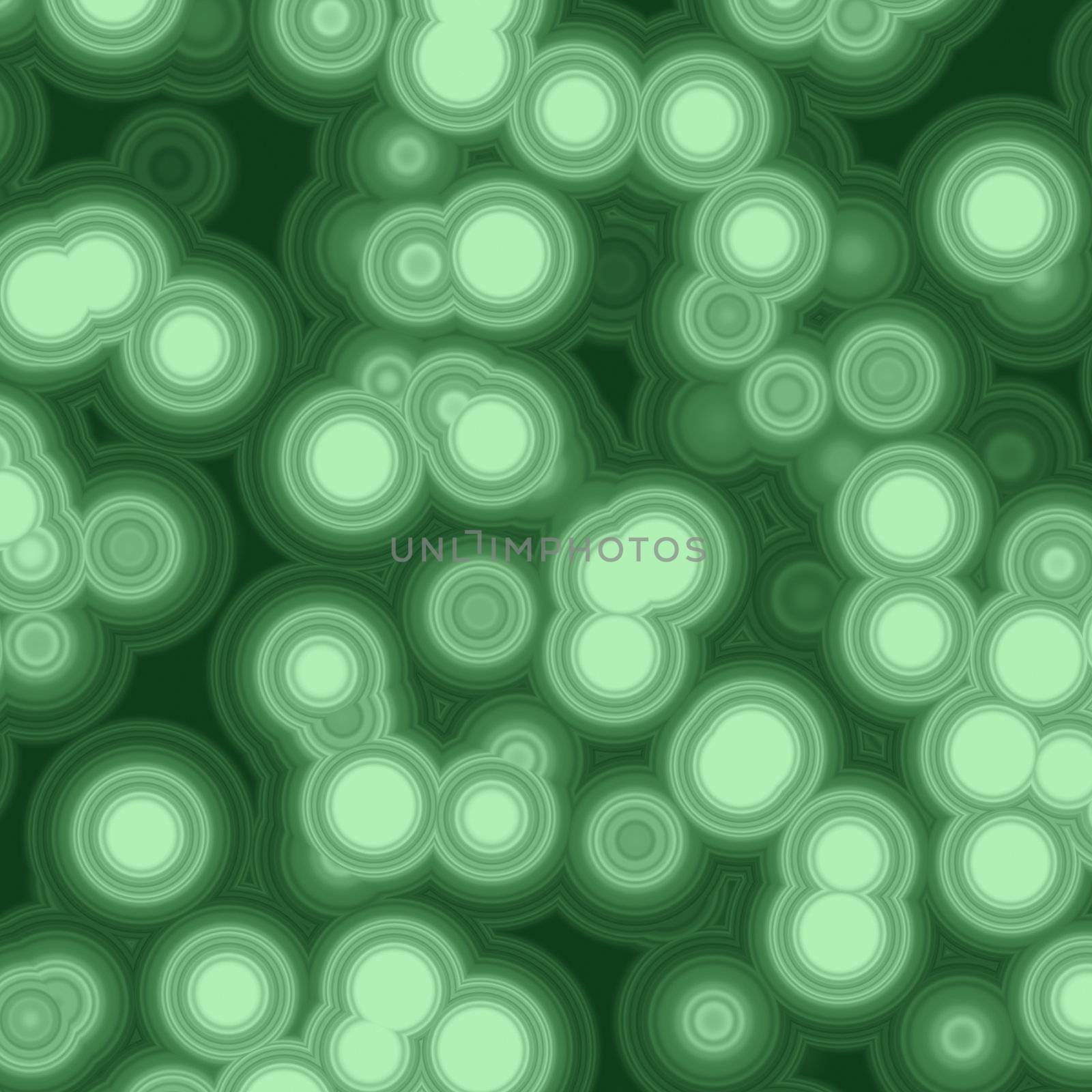 Bacteria Cell by kentoh