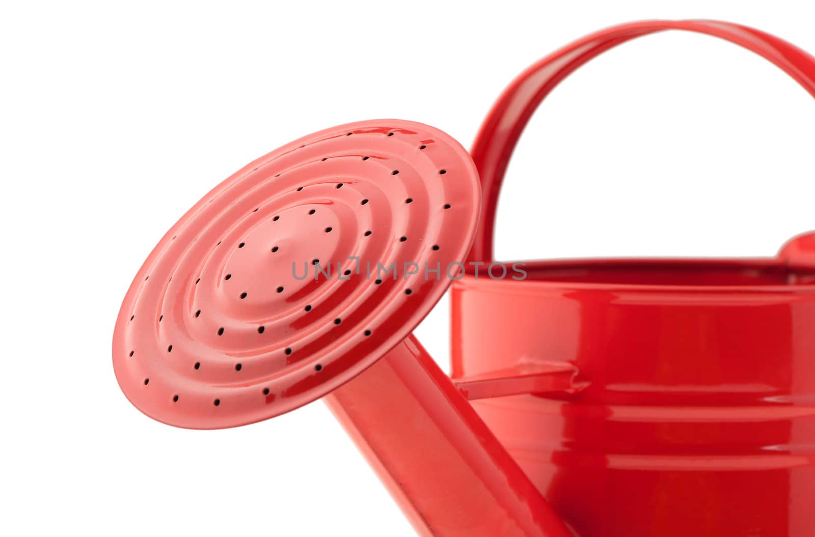 Red watering can. It is isolated on a white background