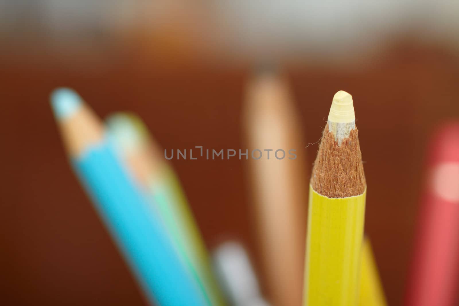 Education - sharpened colourful pencil with copy space by FreedomImage