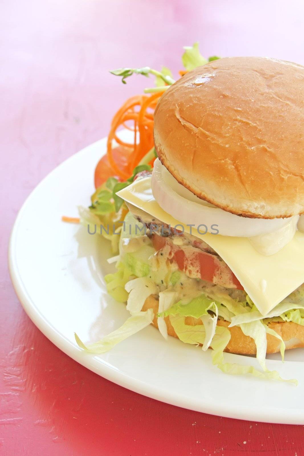 Vegetarian Burger With French Fries by kentoh