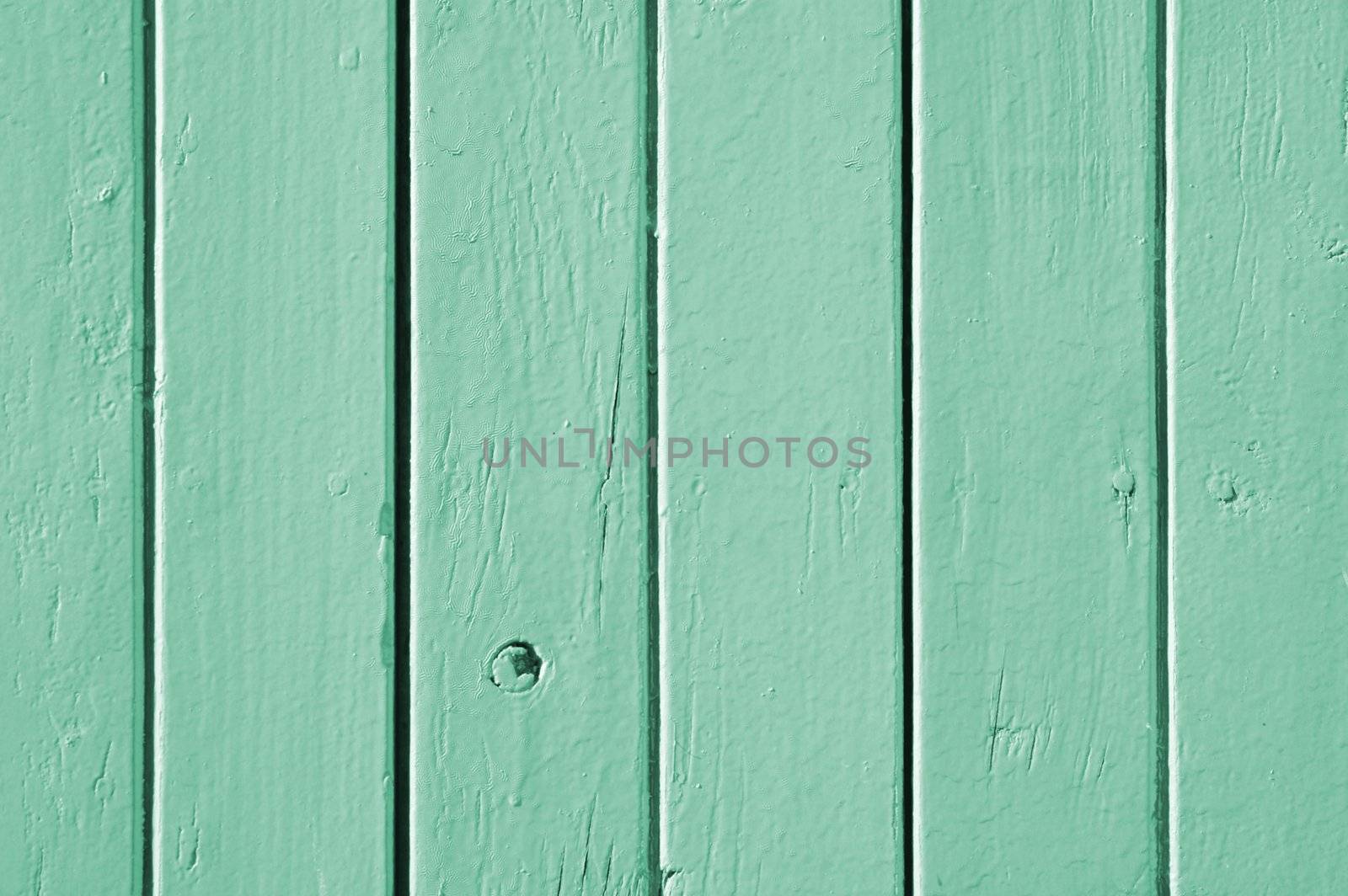 wood green background