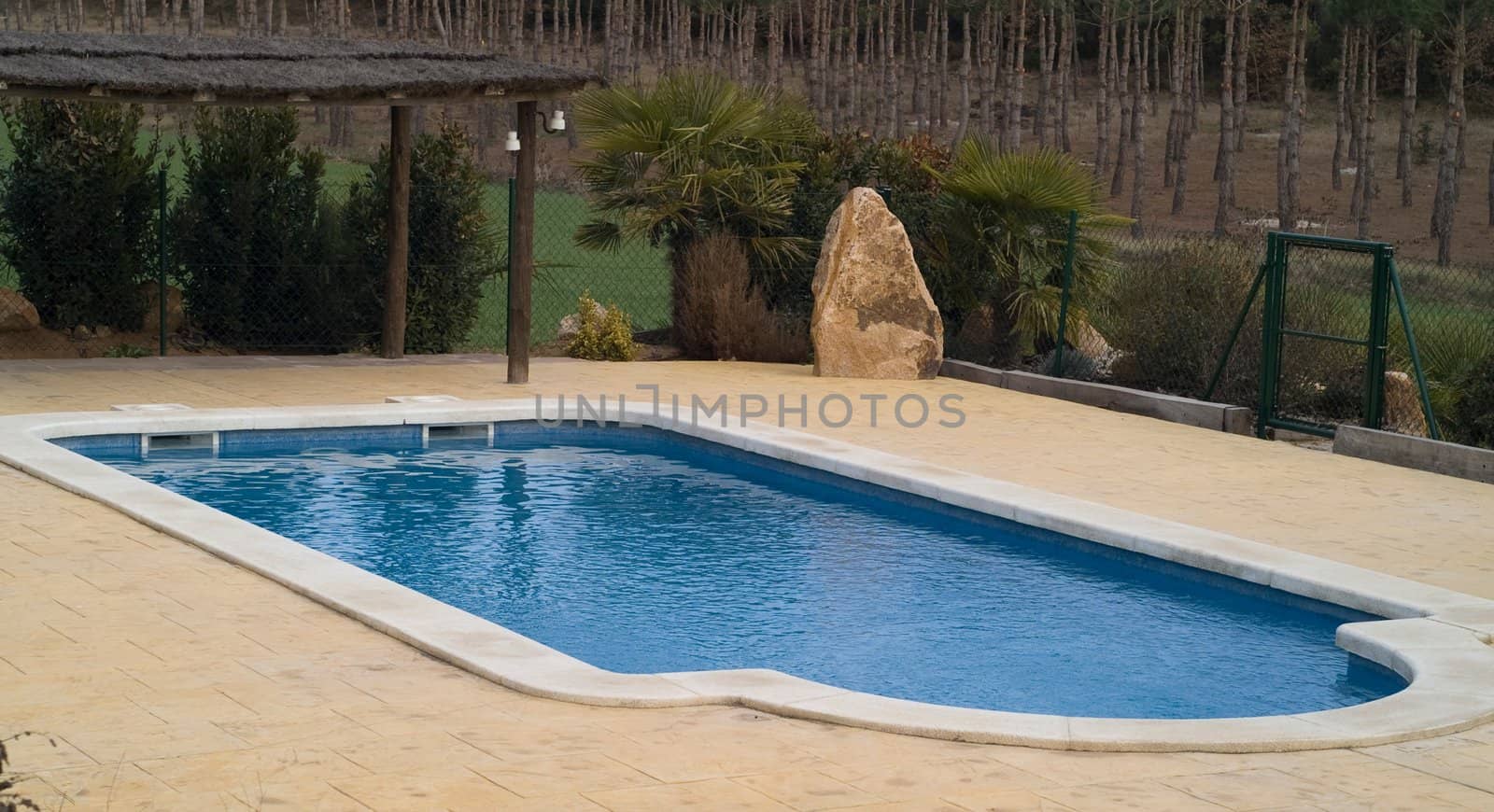 a private an clear swimming‐pool