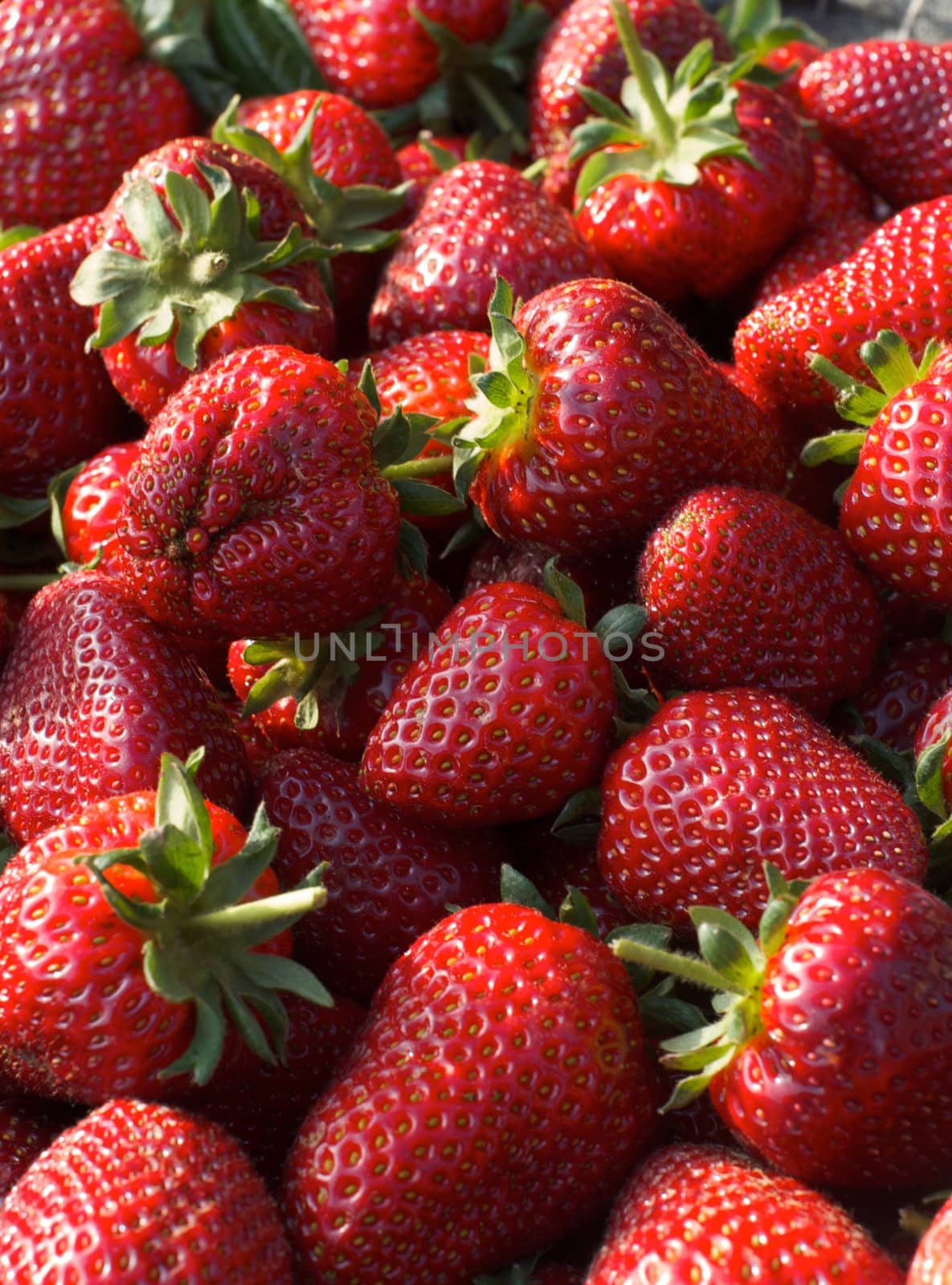 a lot of fresh strewberry  by olgaolga