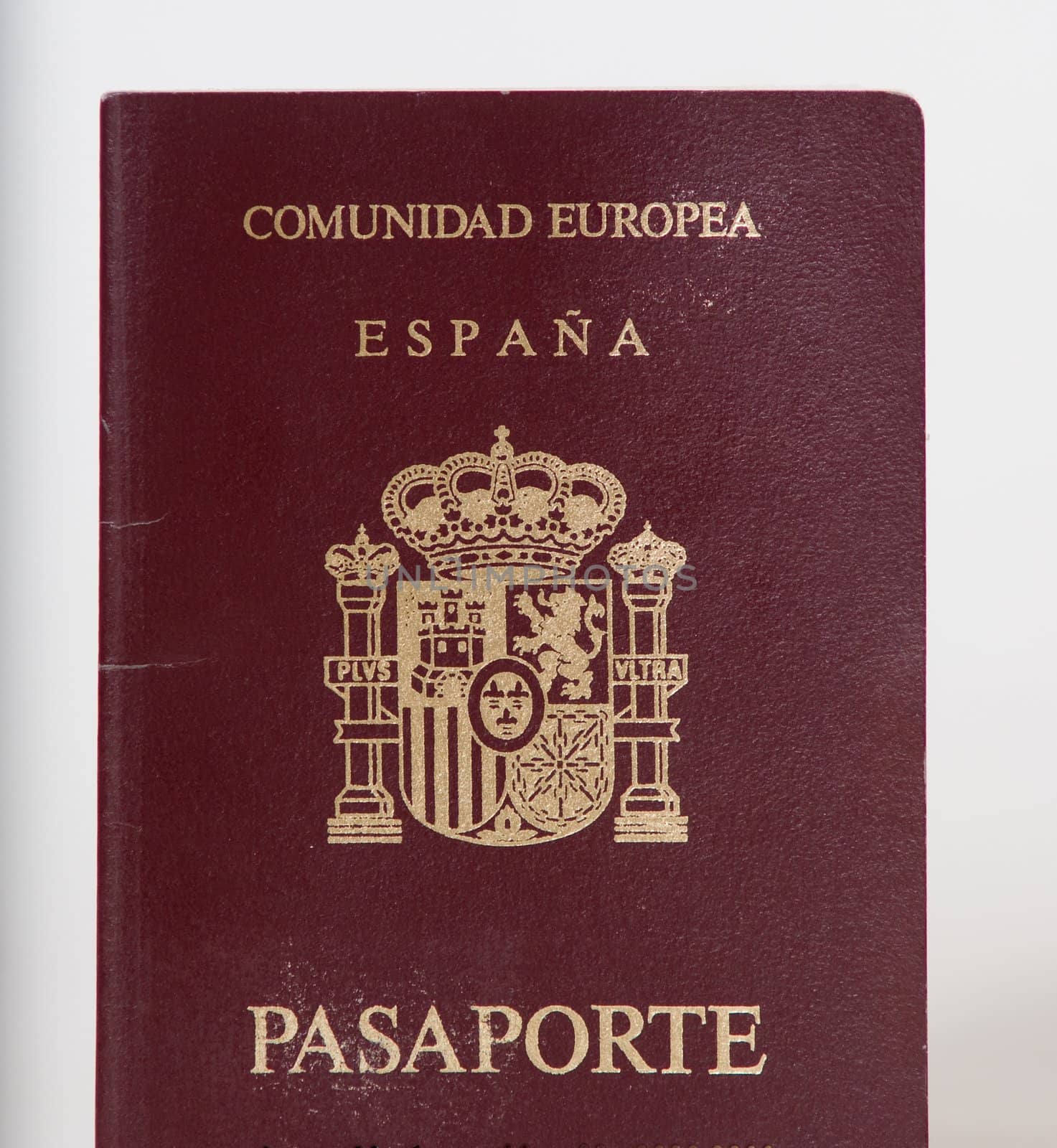 Passport by olgaolga