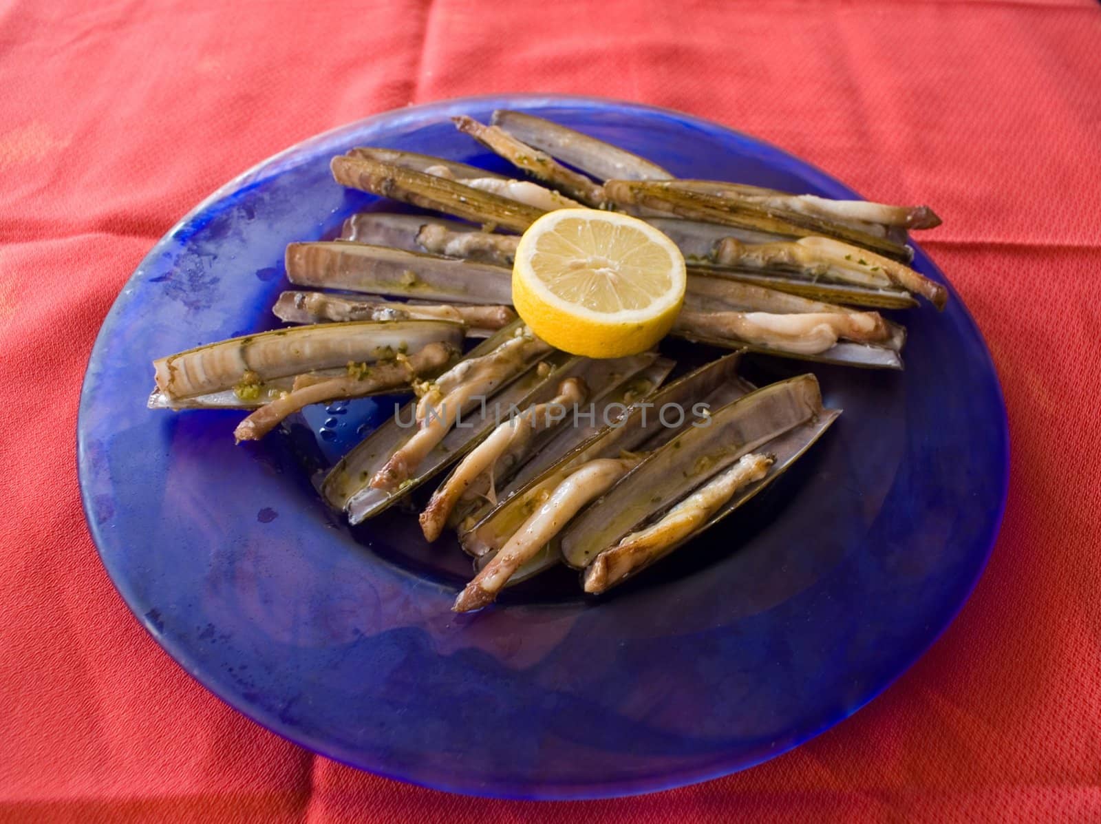 razor shell seafood,tipical galician food