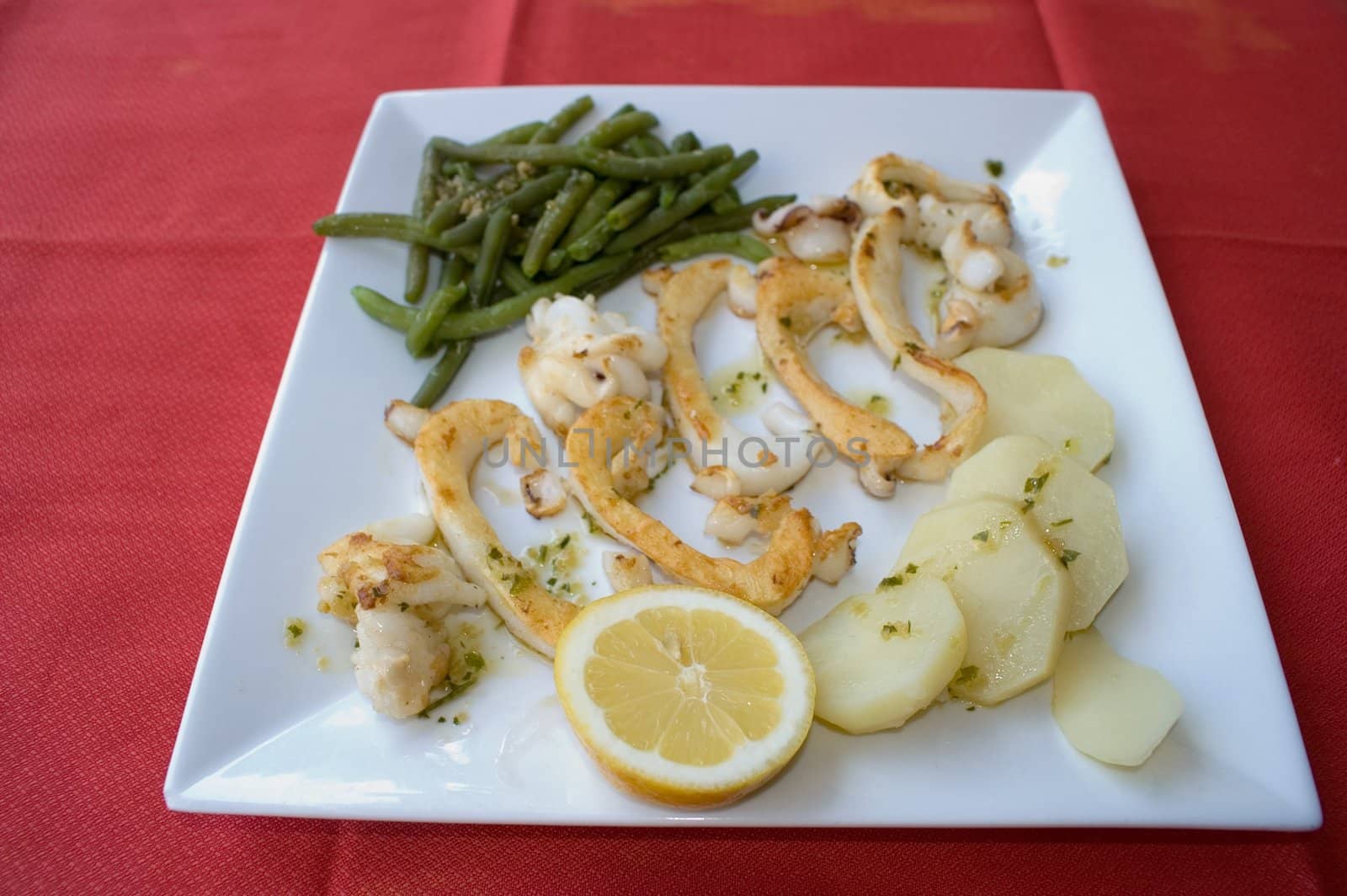 calamary with vegetables,plate for restaurant