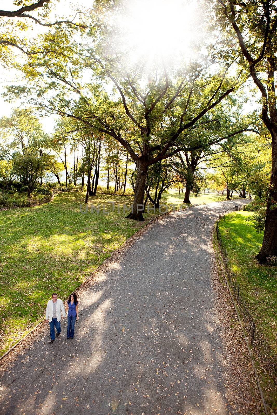 A happy couple walking in the park on a sunny day