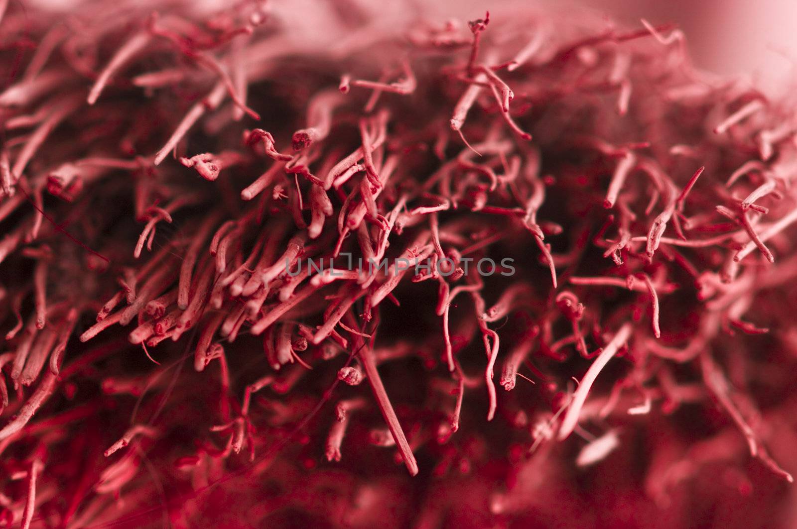 Red colored abstract lop macro