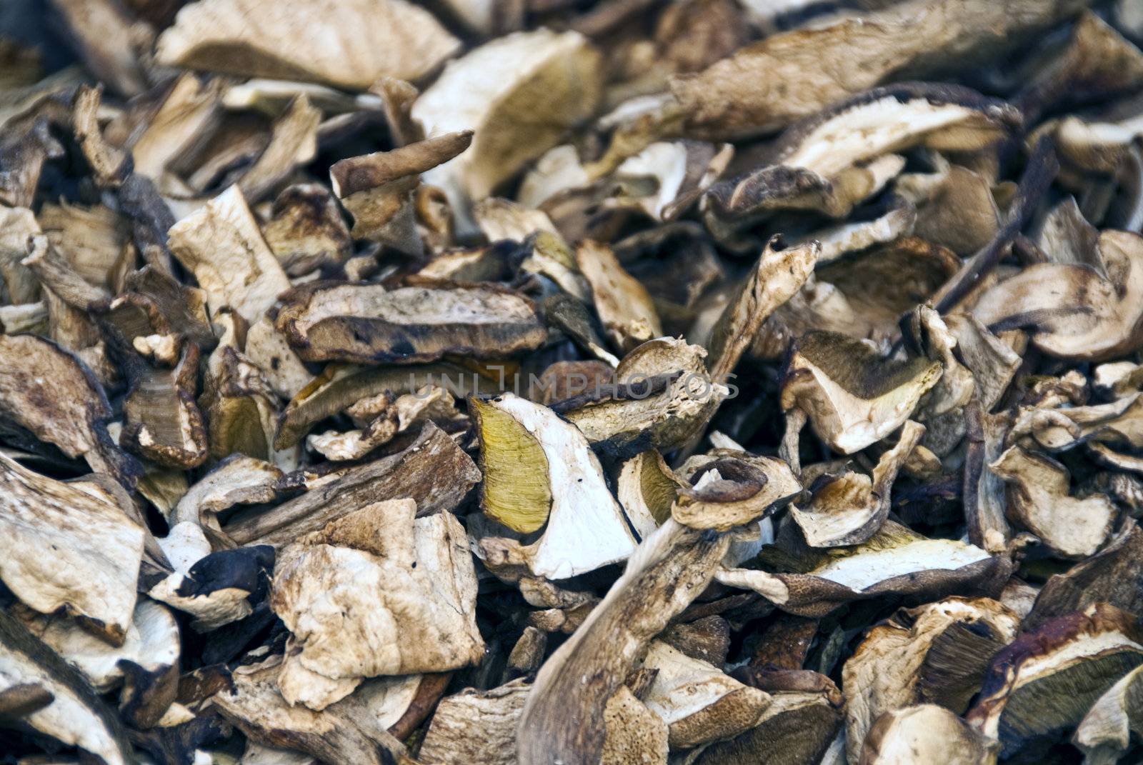 Dried Boletus Mushrooms, Lucca, Italy