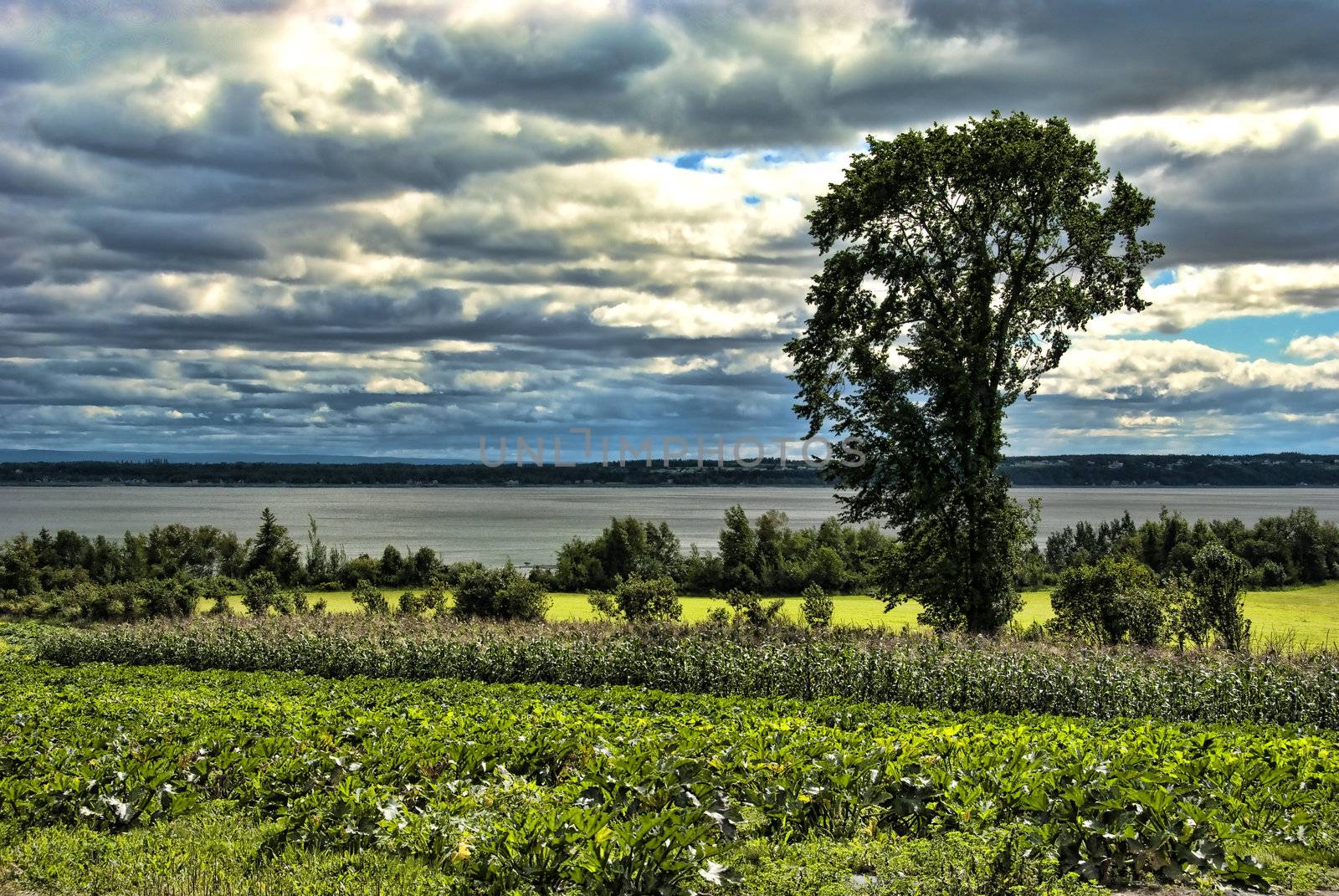 Clouds in the Sky of Quebec, Canada, August 2008