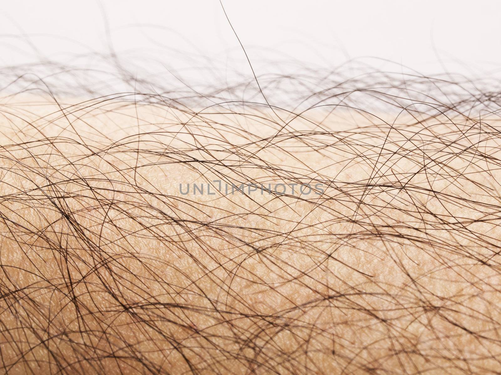 human body hair by zkruger