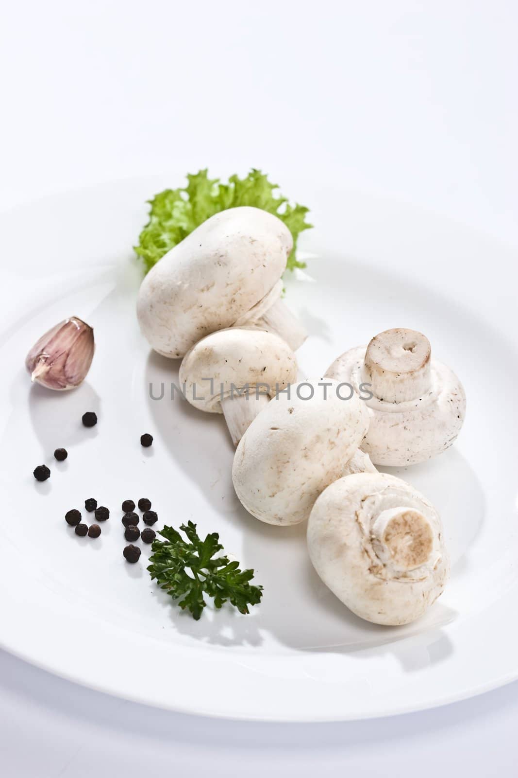 food serias: some mushrooms on the white plate