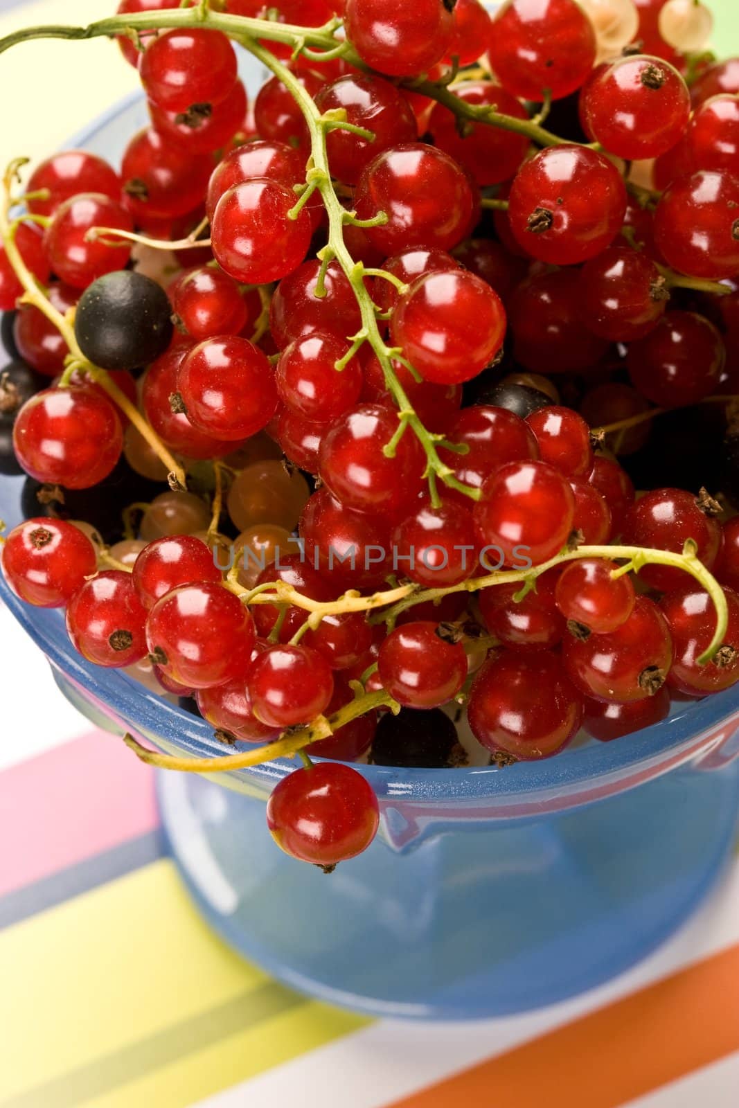 still life with red currant on the bow