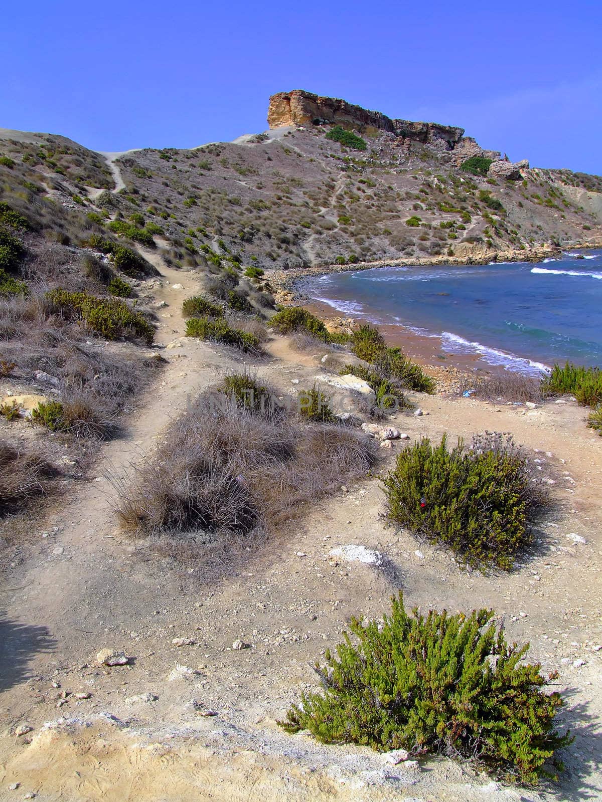 Rocky shoreline on the island of Malta - pathway along arid trek