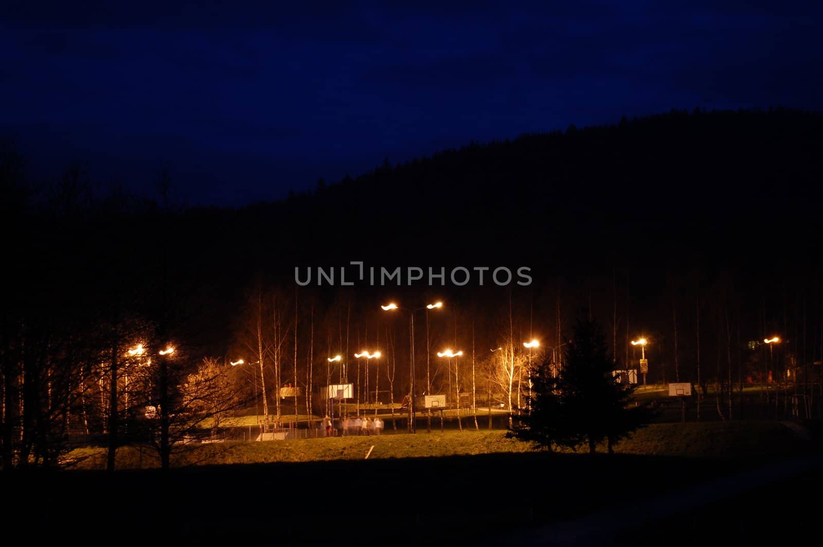 lights in park by night