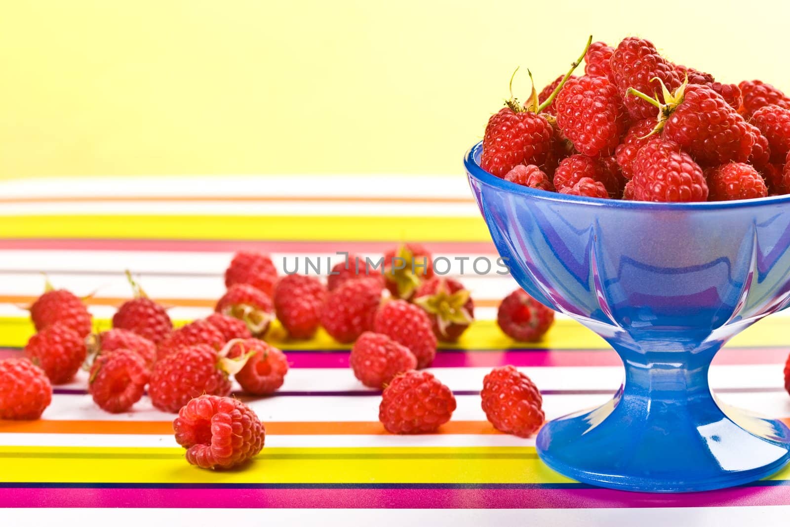 food serias: raspberries in the blue bow