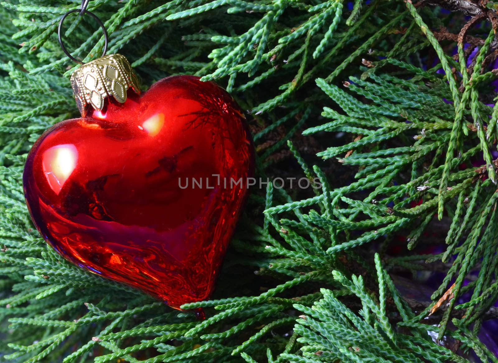 Heart Christmas ornament on evergreens