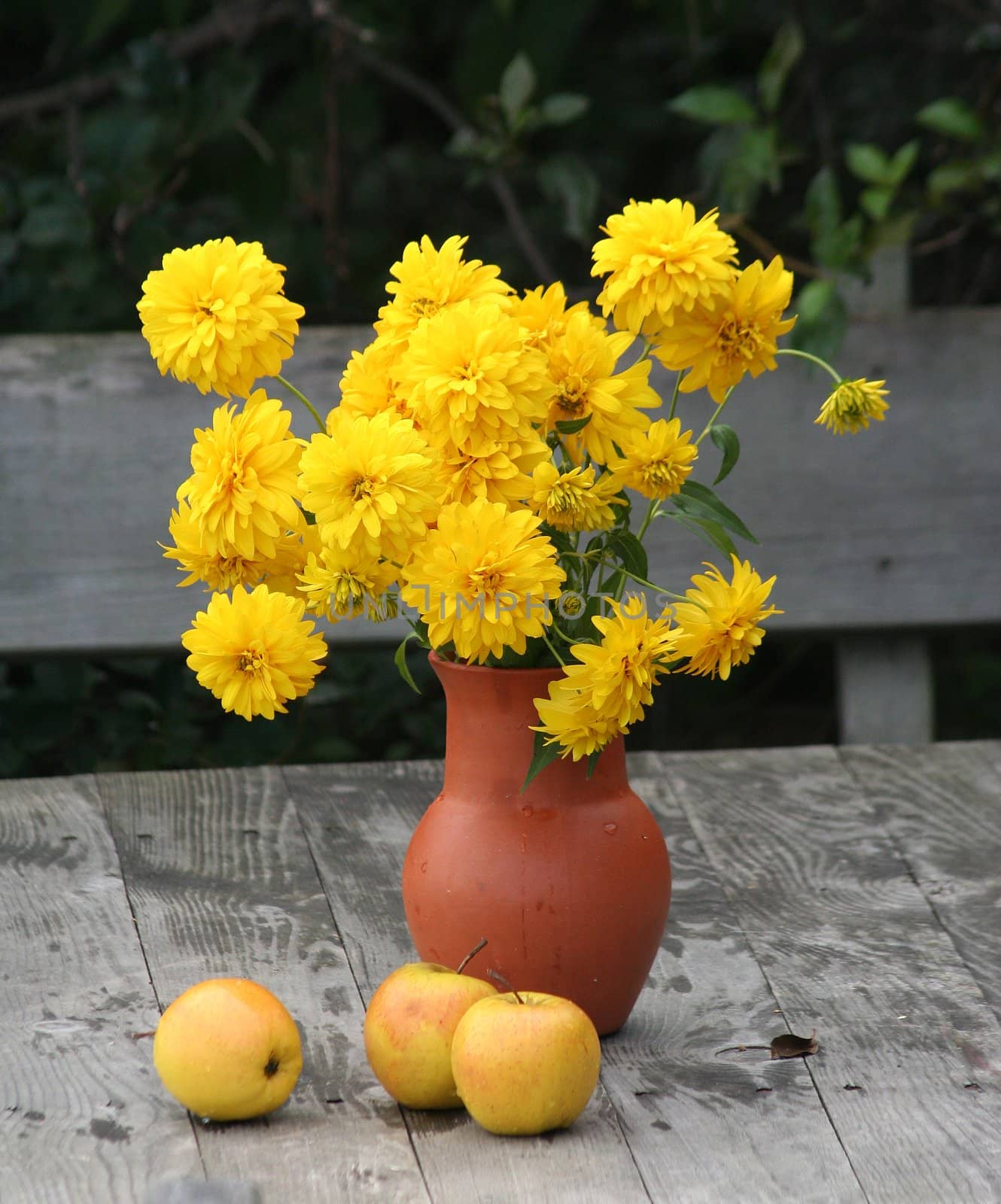 Yellow flowers by vvvera