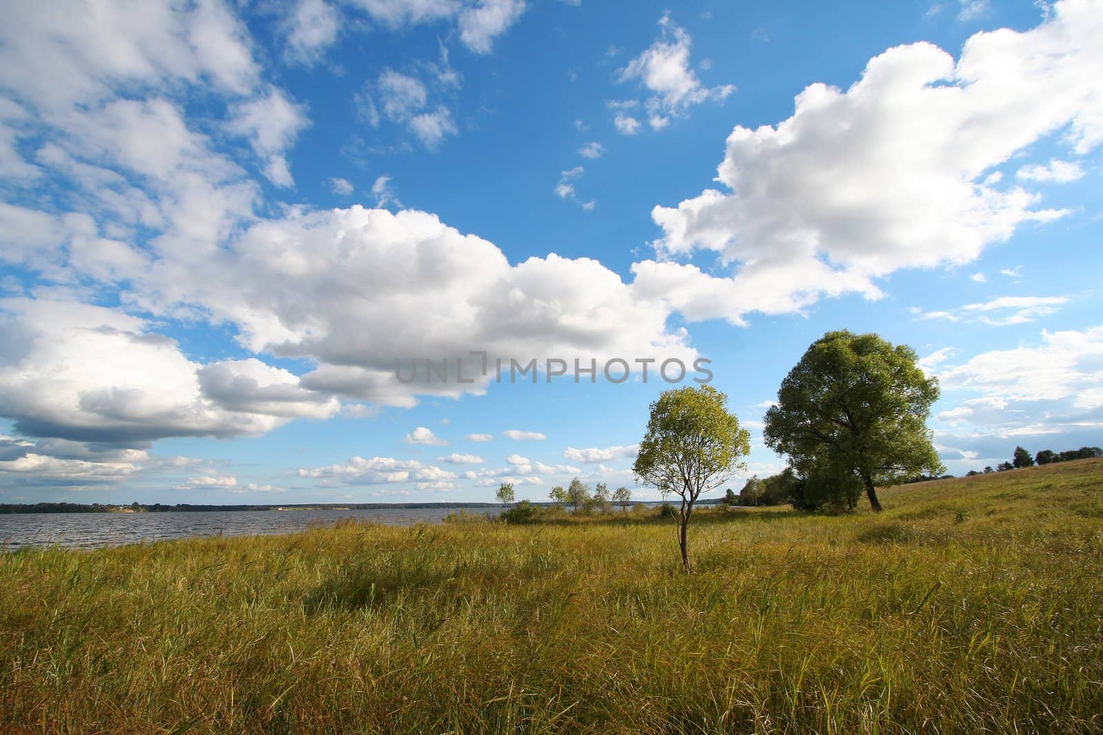 Landscape with clouds by vvvera