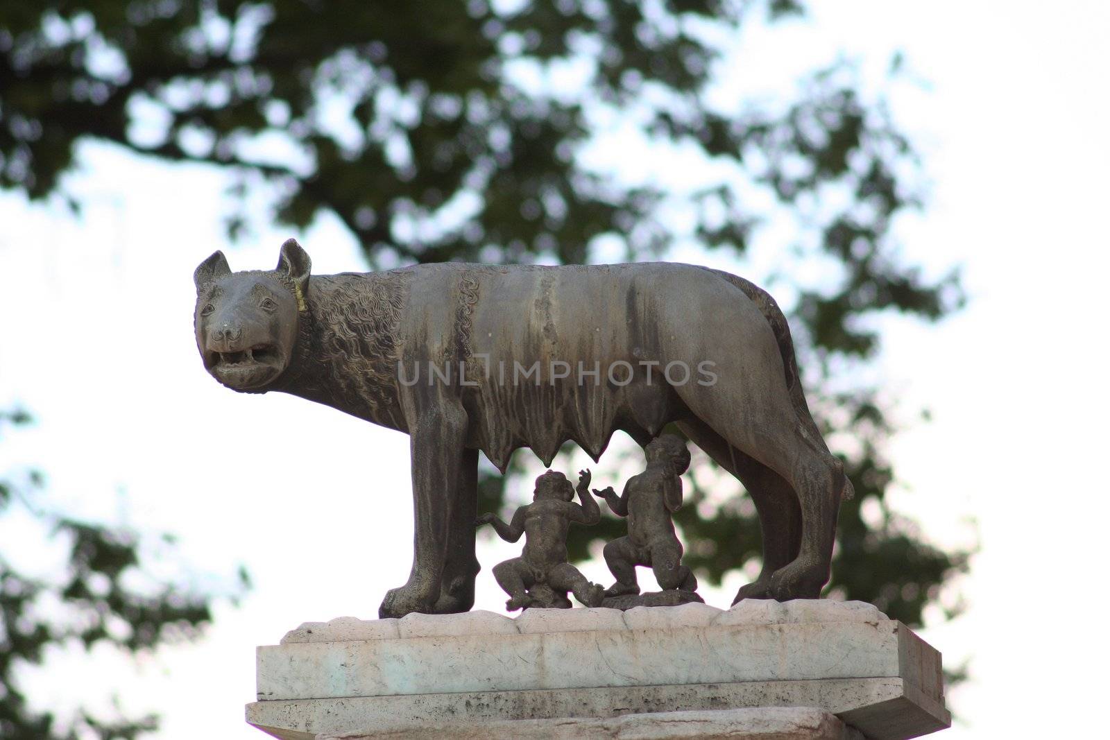 She-wolf feed Romulus and Remus by vvvera