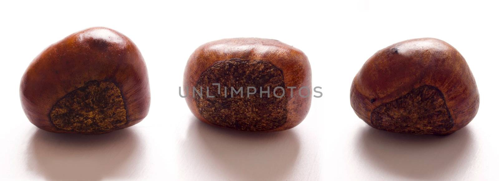 roasted chestnuts by zkruger