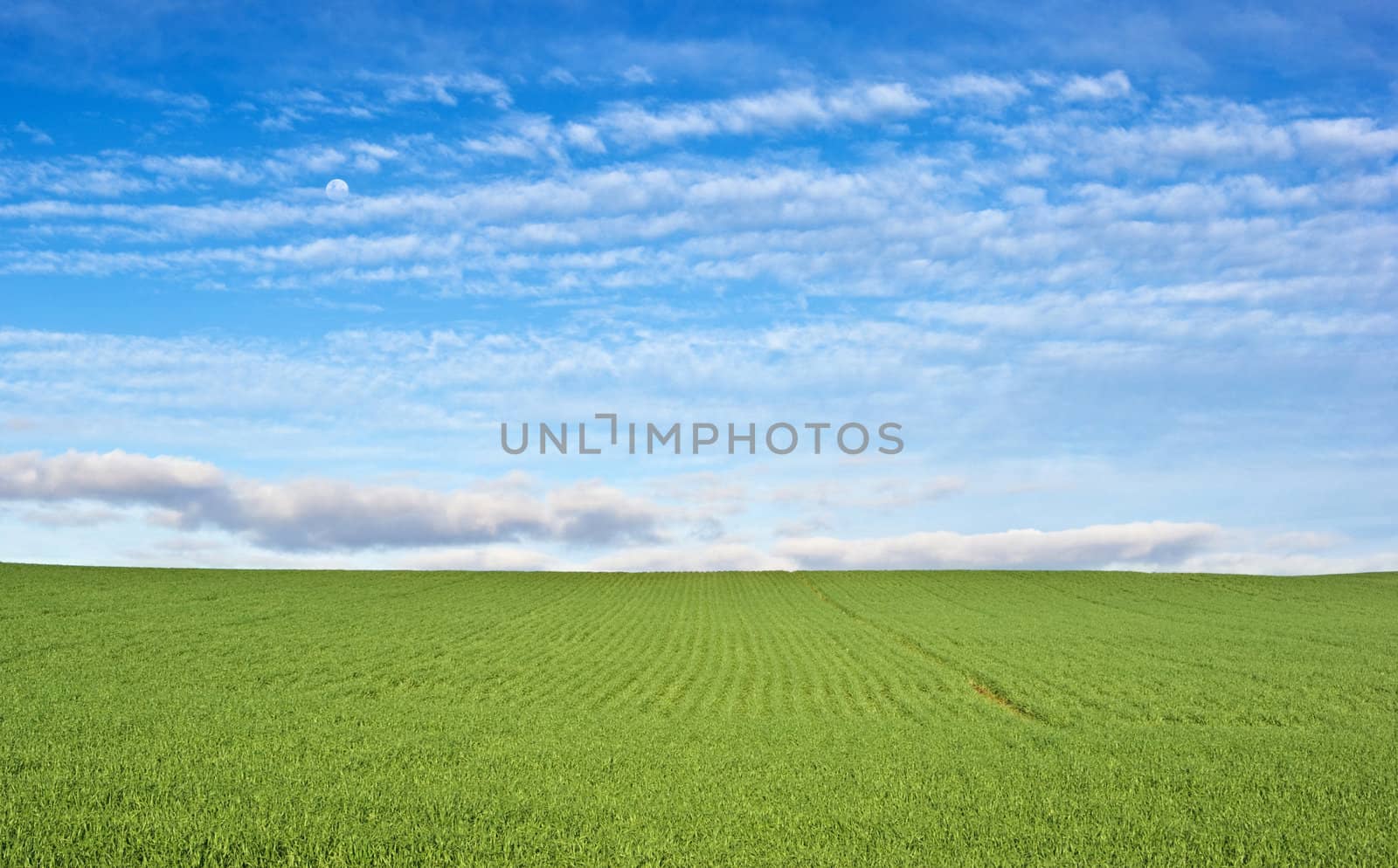 green field and blue sky by clearviewstock
