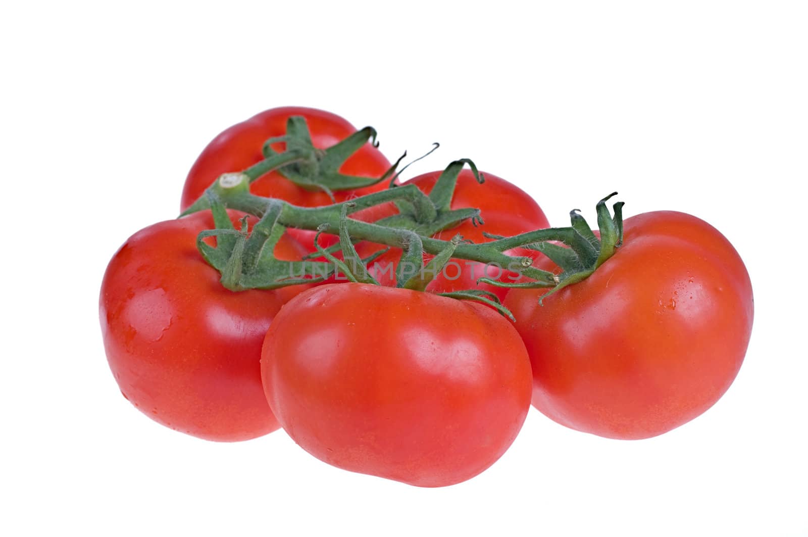 fresh tomatoes by clearviewstock