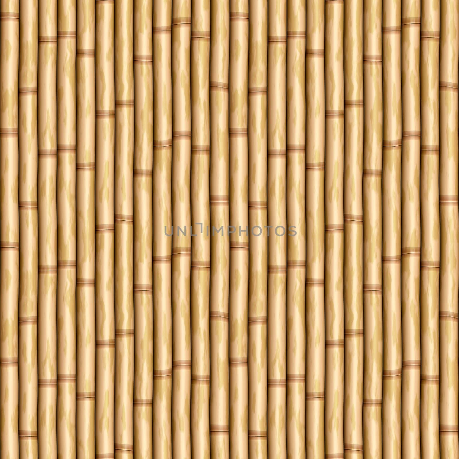 bamboo wall by clearviewstock