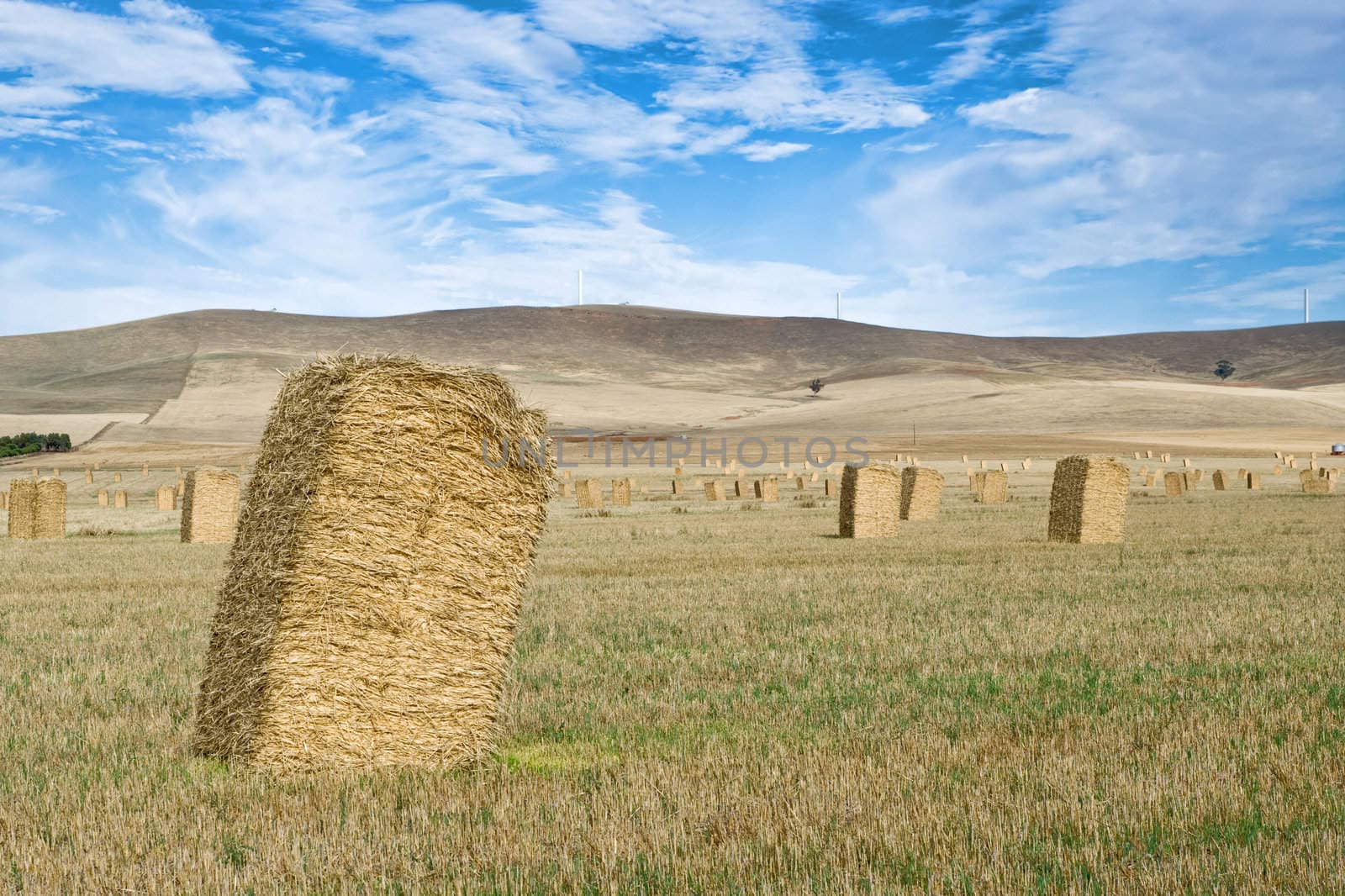 great landscape of farm fields with bales