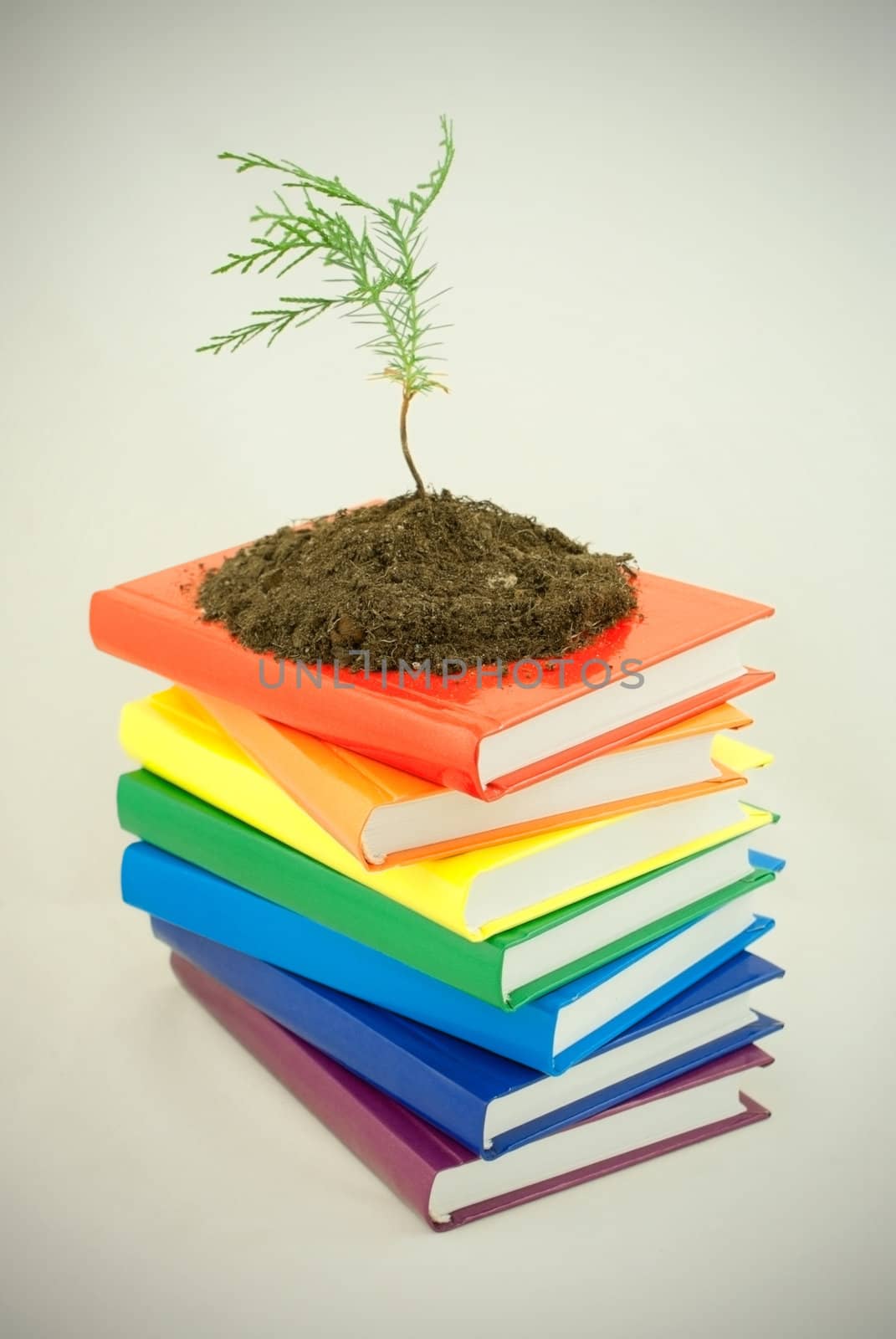 Tree seedling on the stack of colorful books by AndreyKr