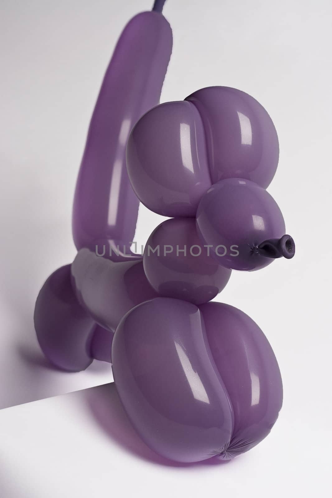Purple balloon dog climbing a pedestal