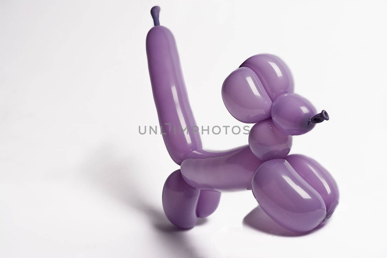 Purple balloon dog jumping in the air