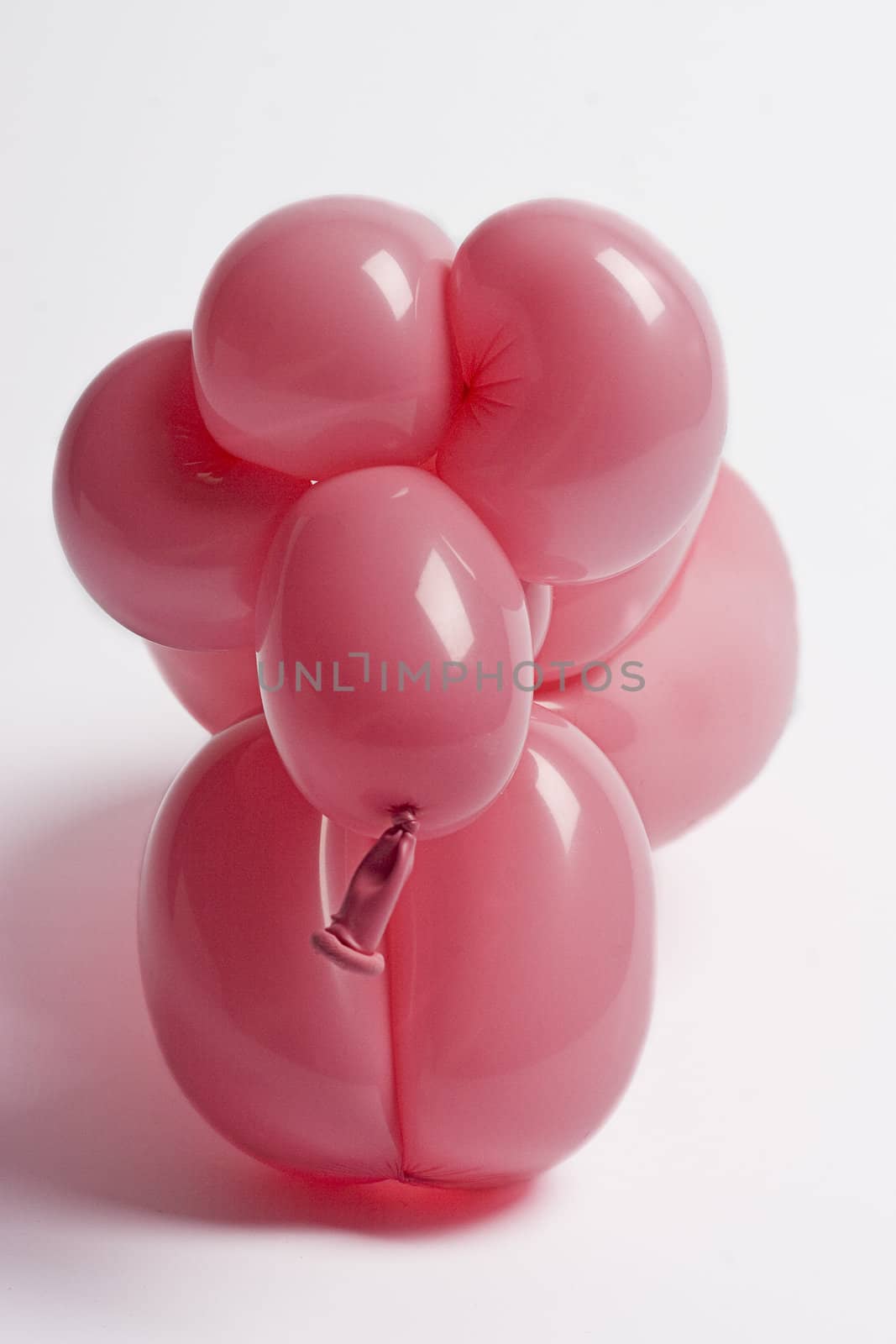 close up of a pink balloon sheep