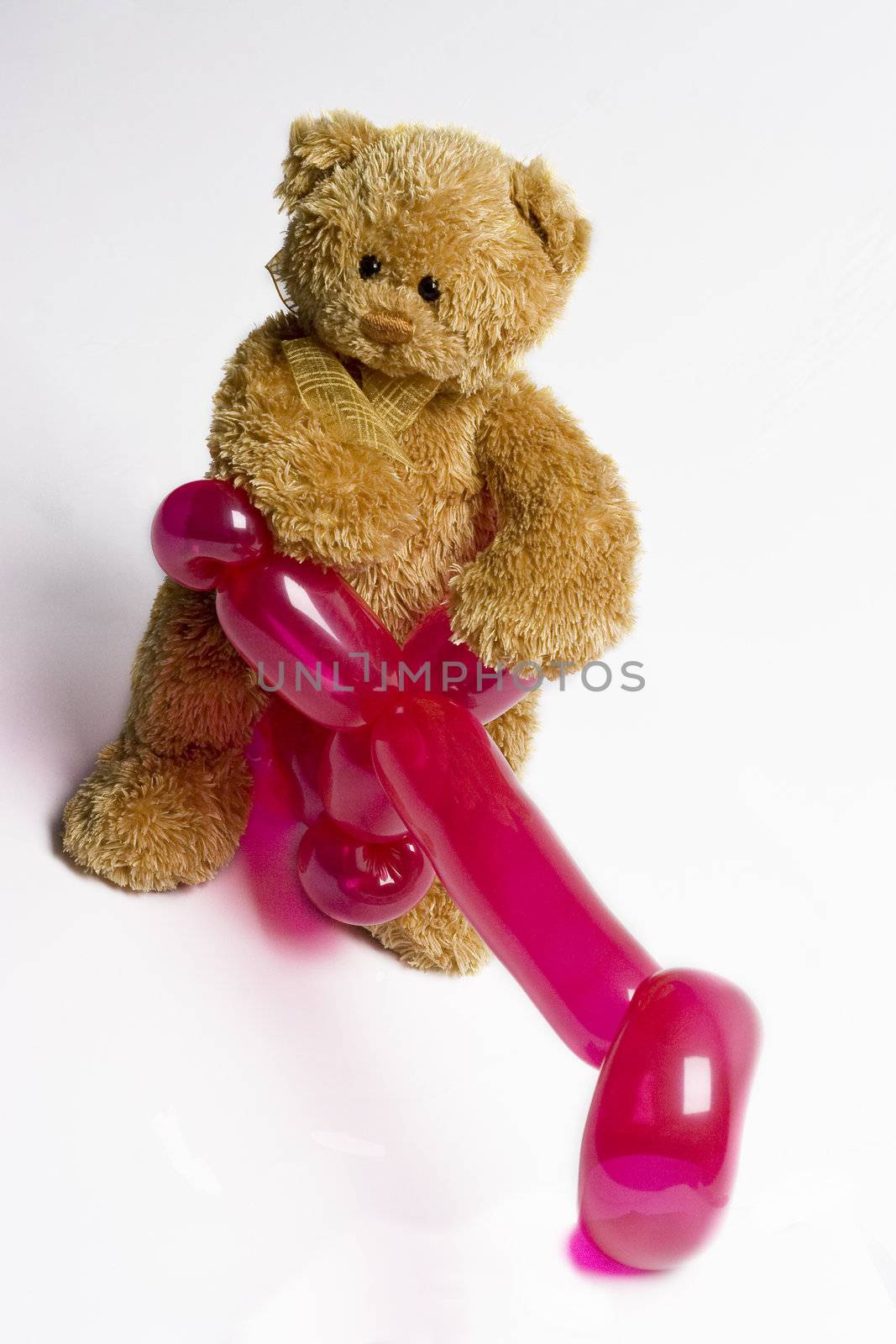 teddy bear sitting on a pink balloon bike