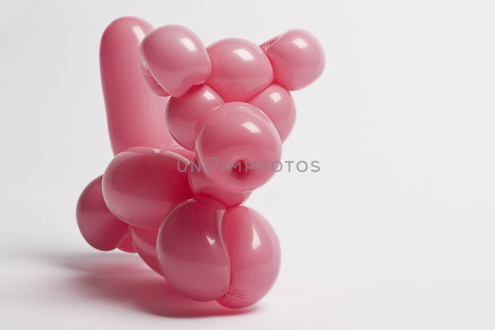 pink balloon pig walking around