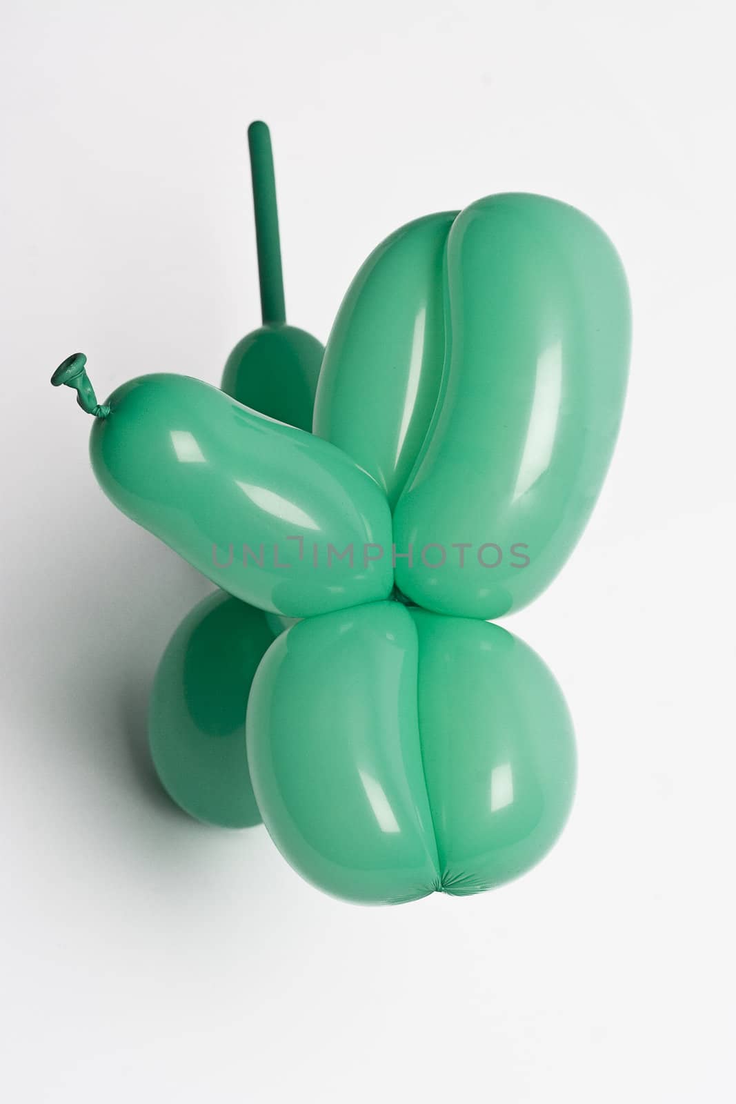 green balloon dog acting cute and begging