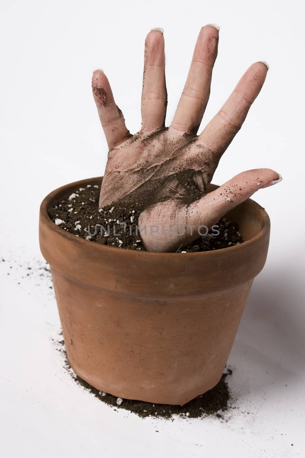 women hand coming out of a pot of earth