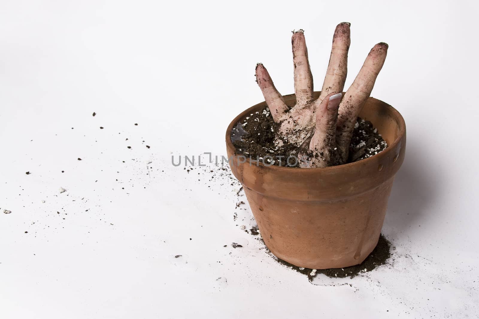 women hand stretching out of a pot of earth