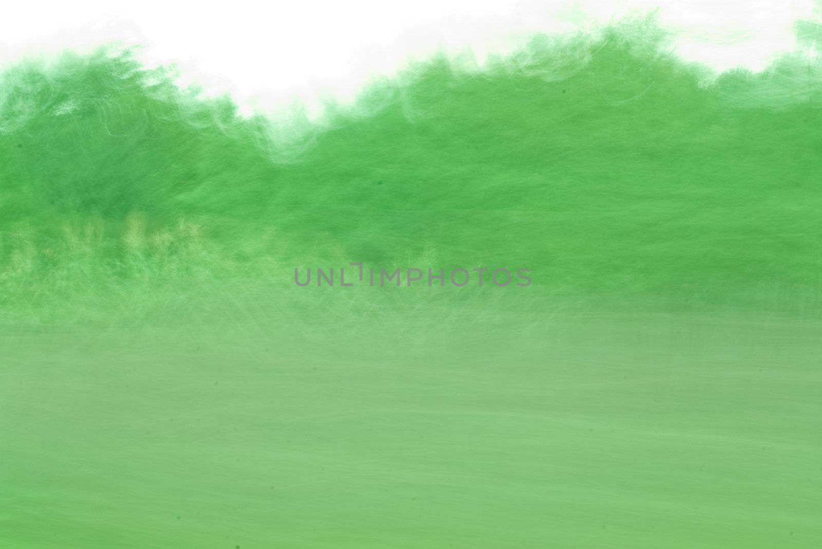 Abstract green forest by photo4dreams