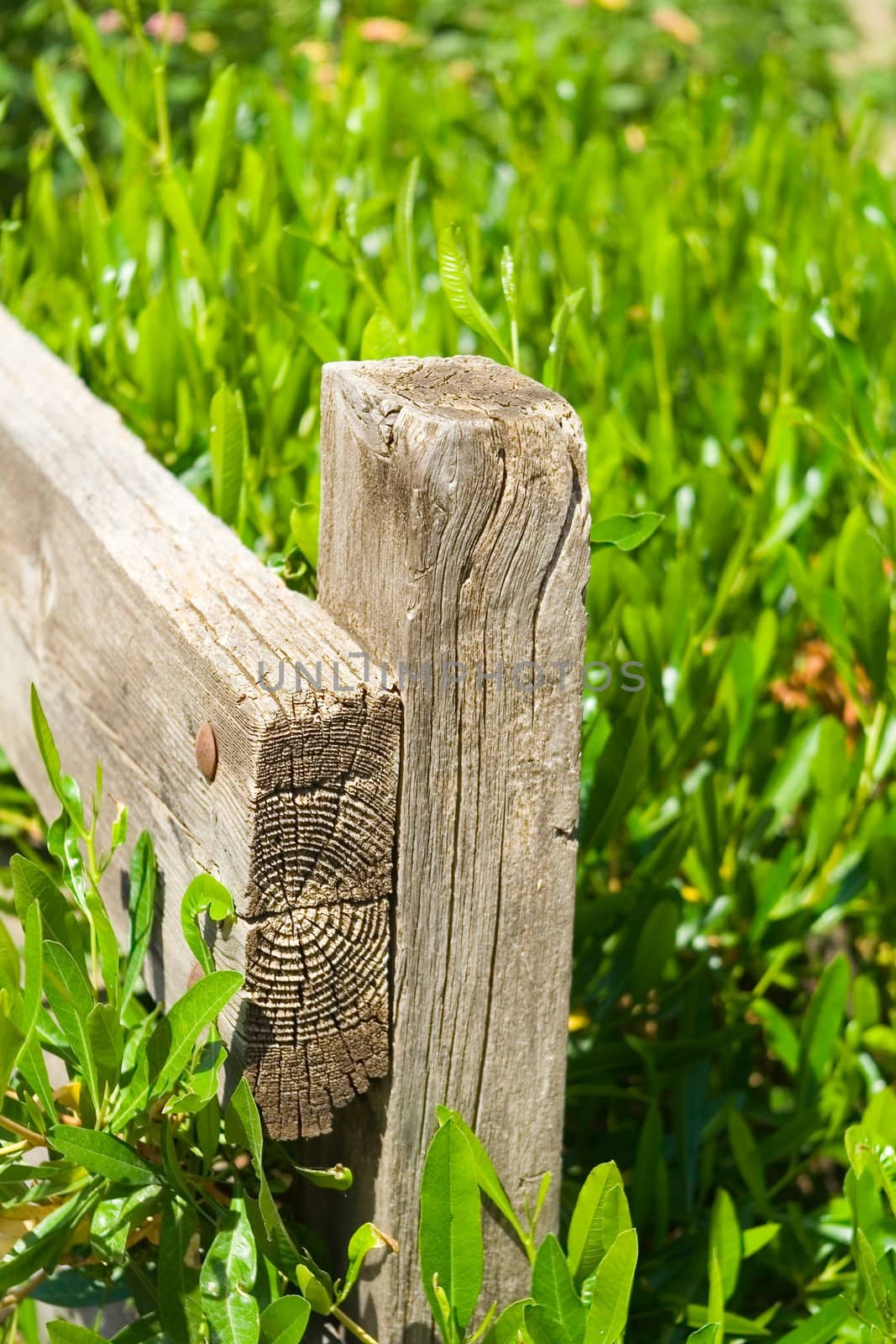 Wooden fence by Vladimir