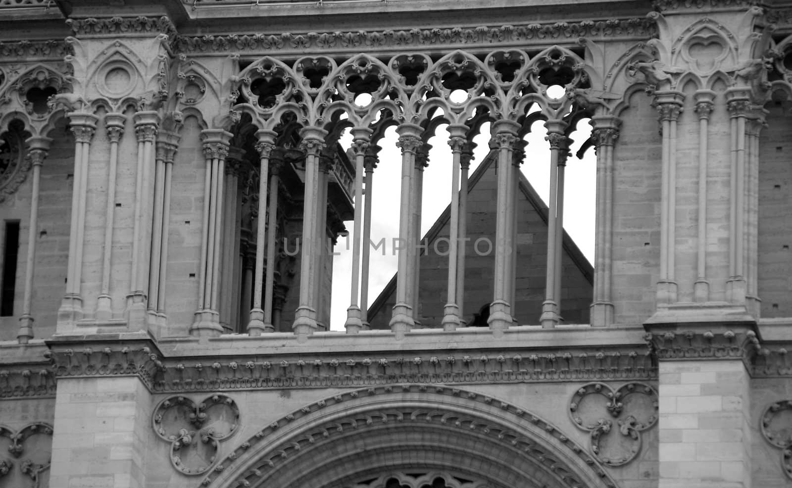 Capital of France - Paris. Notre-Dame. Fragment of the facade.
