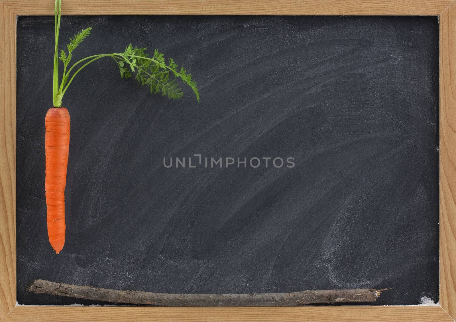 carrot, stick and blackboard - school motivation by PixelsAway