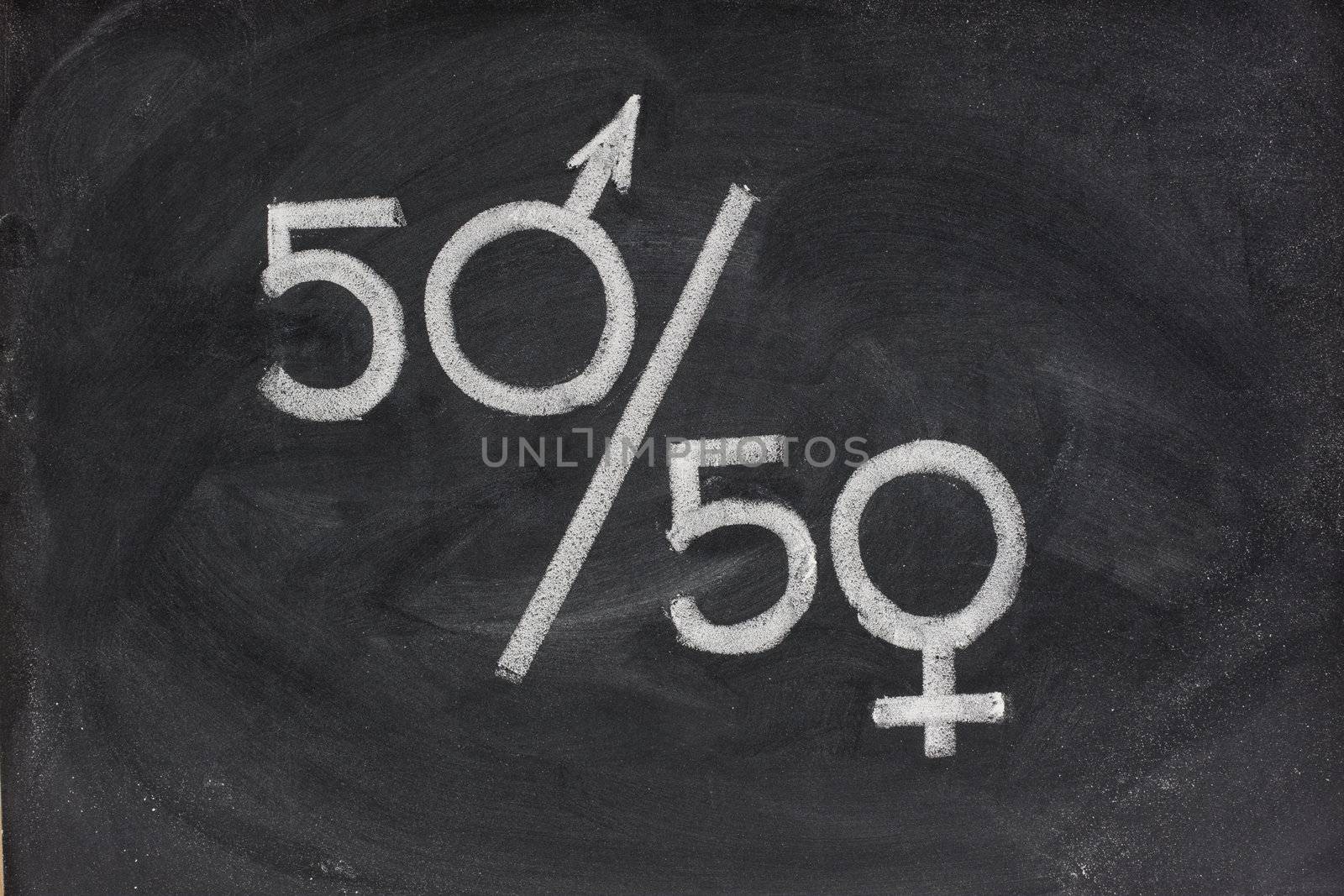 fifty percent - concept of gender equal opportunity or representation in political and public life sketched with white chalk on blackboard