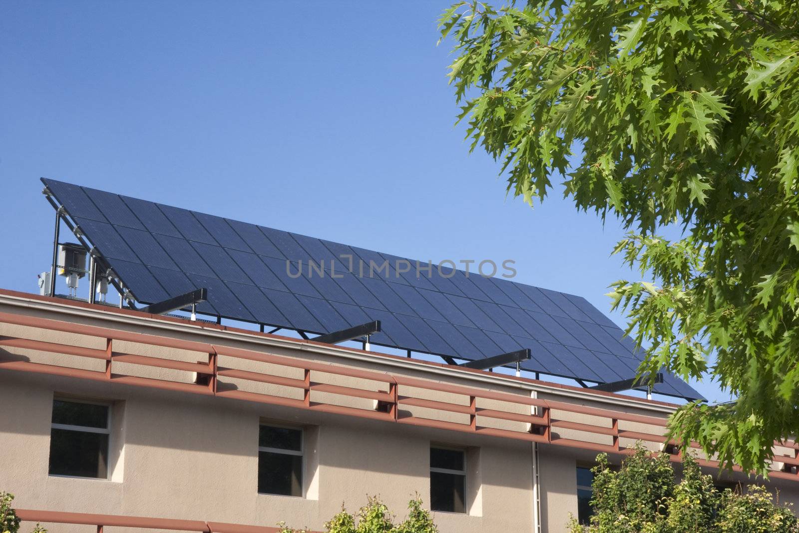 solar panel on building roof framed with green tree at Colorado State University campus, Fort Collins