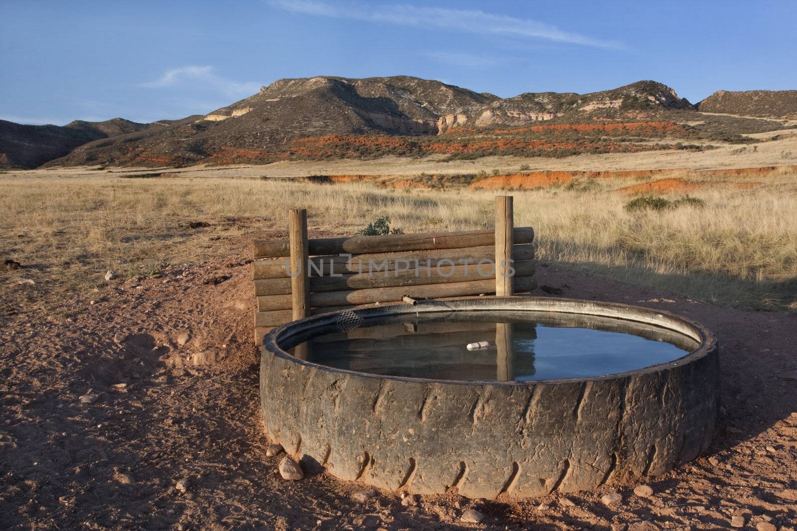 cattle watering hole in Red Mountain Open Space, semi desert landscape in northern Colorado near Wyoming border, late summer, reservoir fabricated from old giant tire