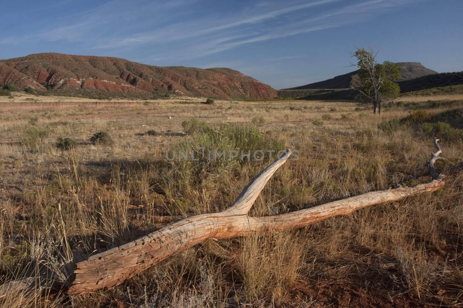 Red Mountain Open Space, semi desert landscape in northern Colorado (Laramie foothills) near Wyoming border, late summer